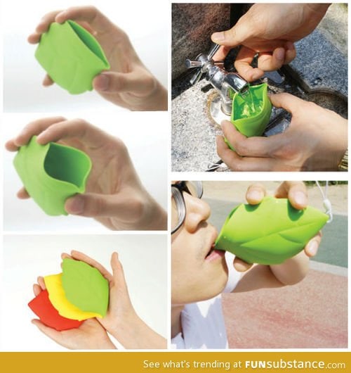 Portable Leaf Cup