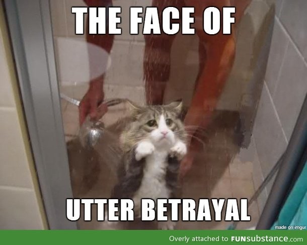 Best betrayal pic i've ever seen