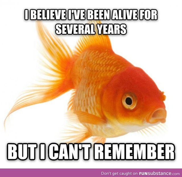 Goldfish realization