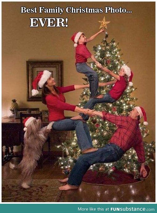 This is seriously the best christmas photo ever
