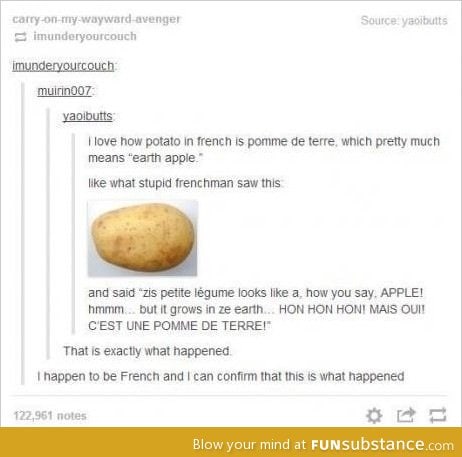 French discovers "earth apple"
