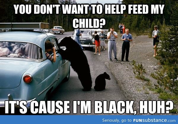Black bear problem
