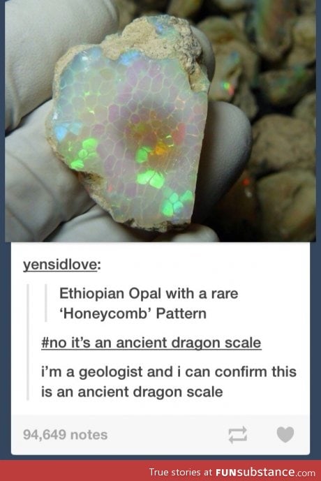 Dragon scales