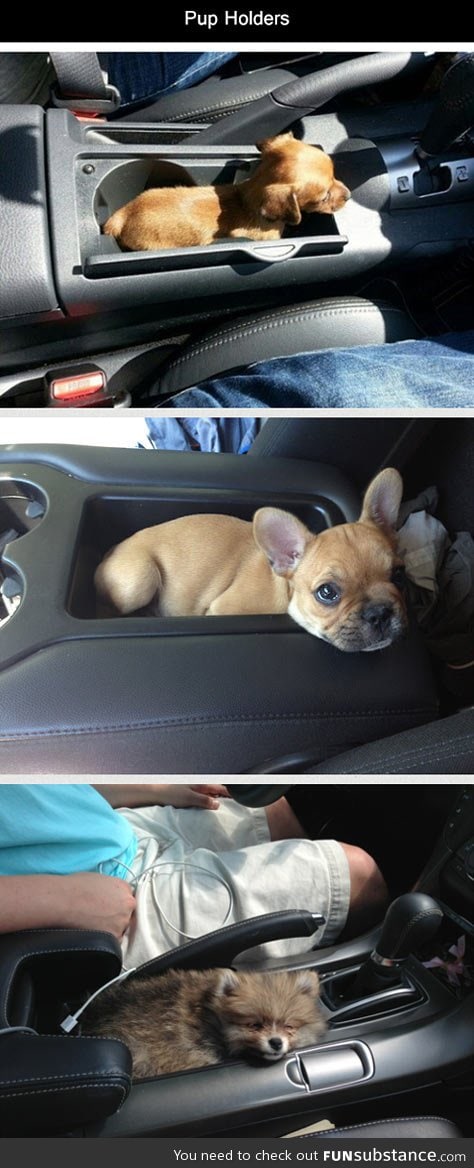 Pup holders