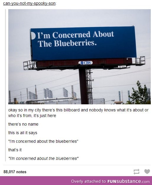 Are you concerned about the blueberries?