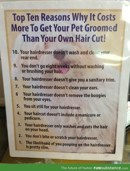 Why taking your dog to the groomer is expensive