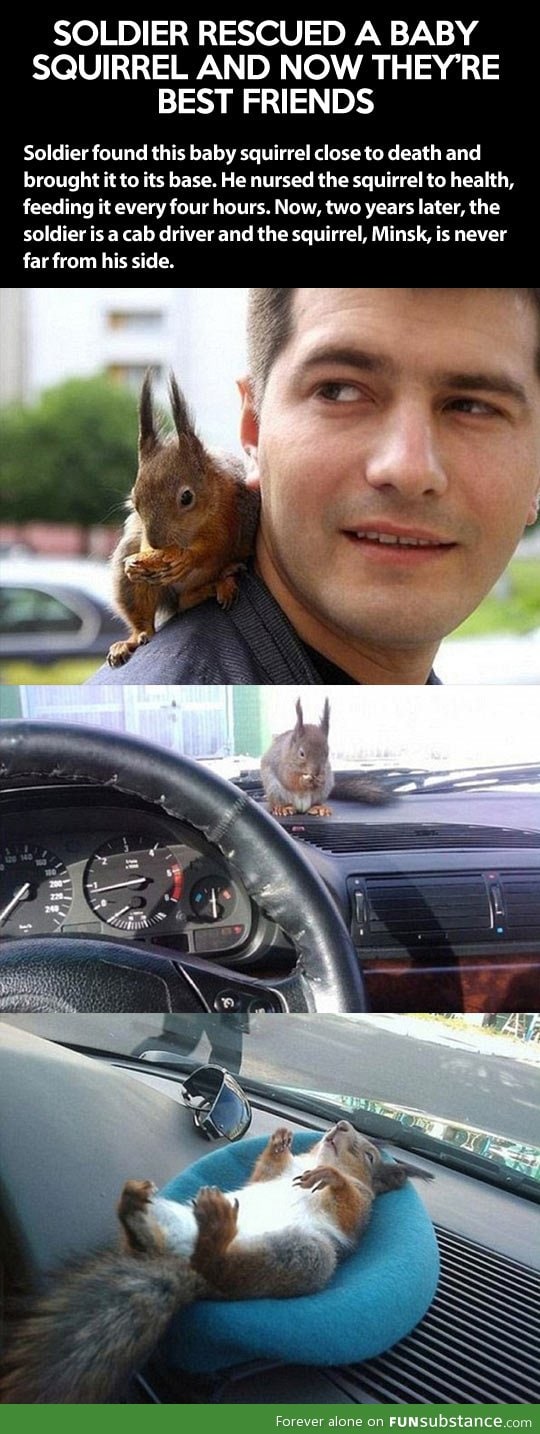 A soldier and his best squirrel friend