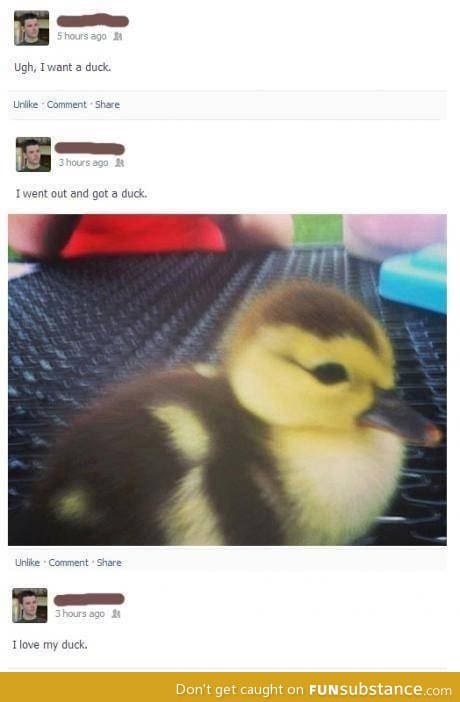 Ugh, I want a duck too