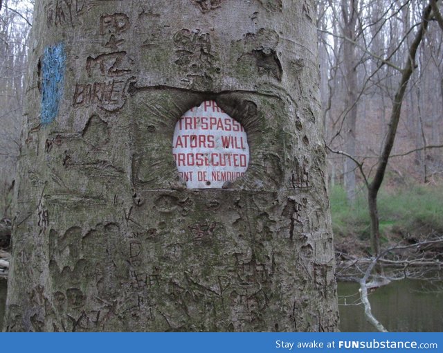 Don't trespass on nature. Nature wins in the end