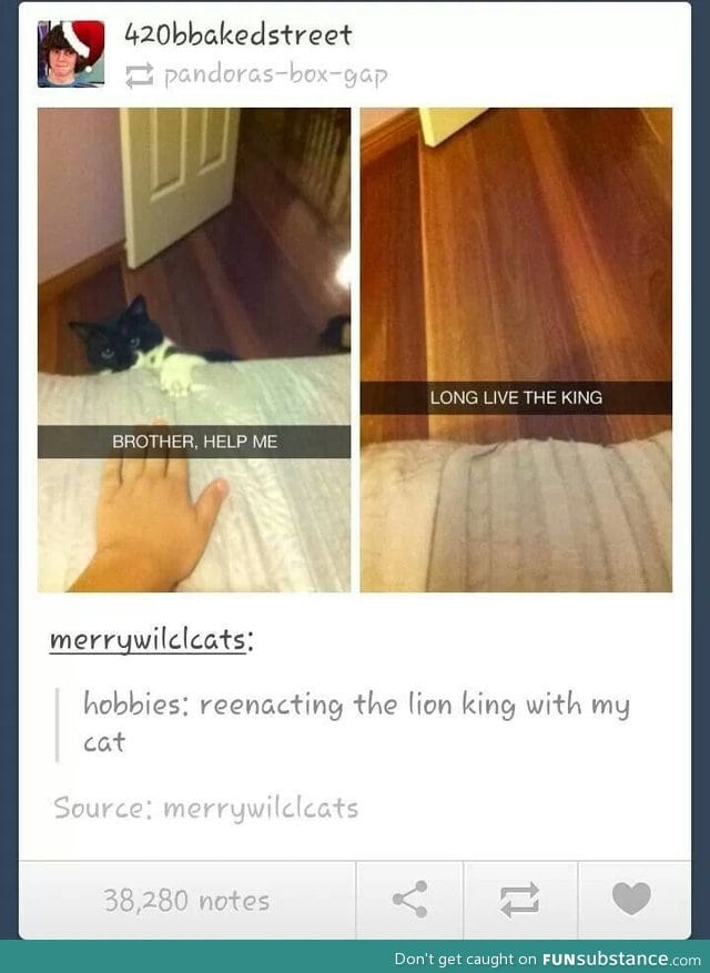 Long Live the King