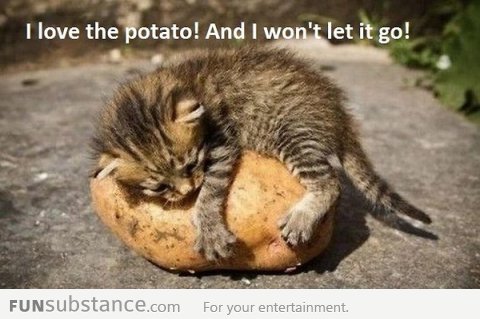 I love potatoes..