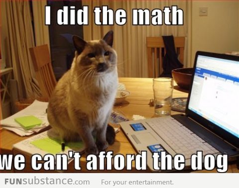 Mathematical Cat