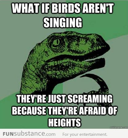 Why birds sing