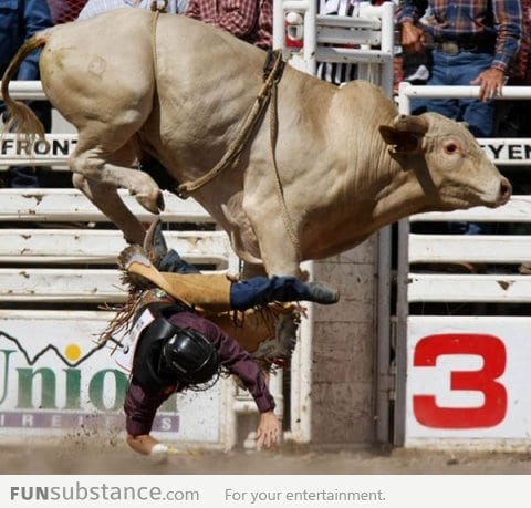 In Soviet Russia, bull rides you