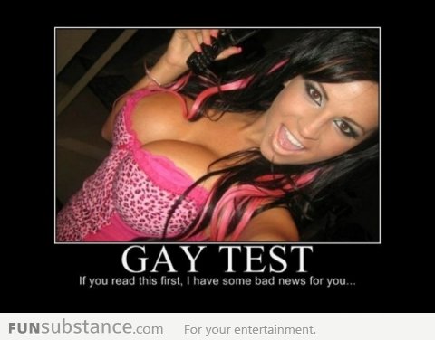 Gay Test