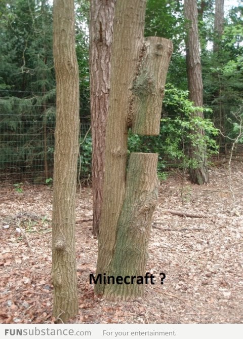 Minecraft in real life!