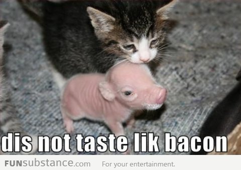 This is not bacon!