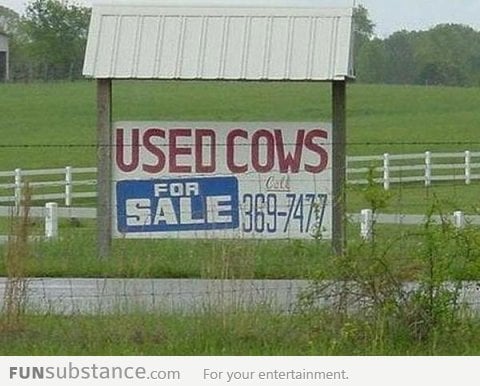 Used Cows