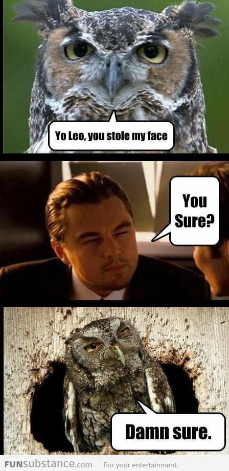 Yo, Leo...