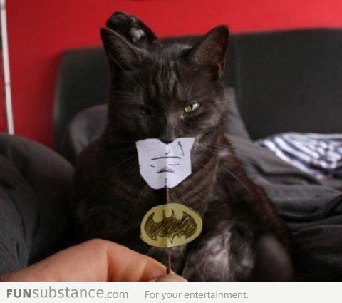 I am Batman