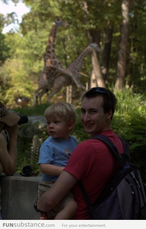 Giraffe photobombing