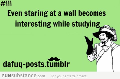 even staring at walls is more fun