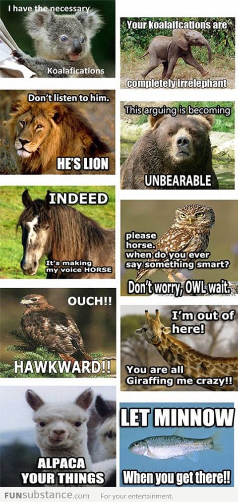 Animals telling jokes