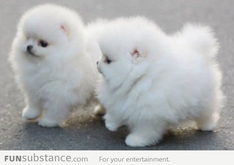 It's so fluffy!