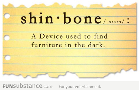 Definition of Shinbone