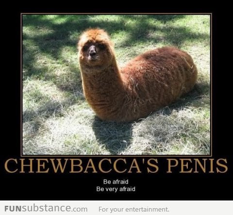 Chewbacca's pen*s