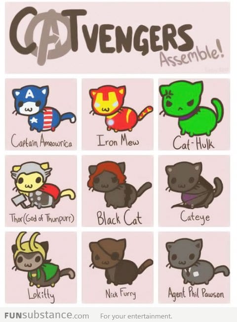 Catvengers Assemble...