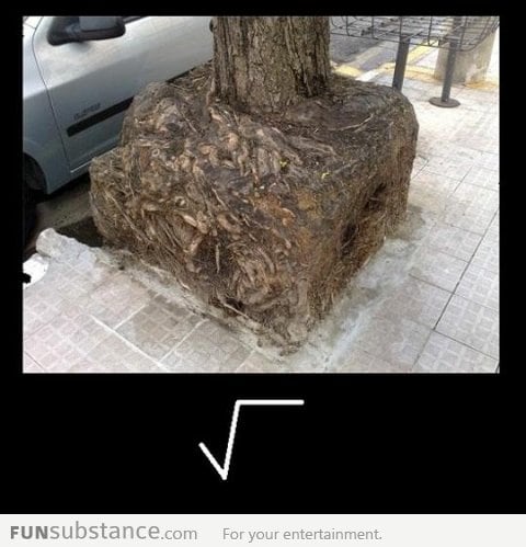 Square root, literally