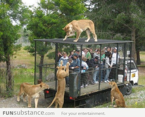 Soviet Russia’s zoo