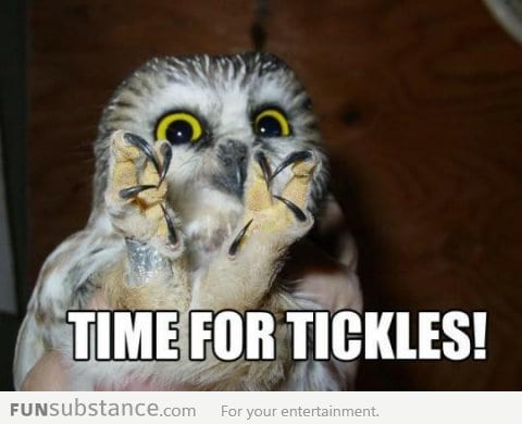 Time for tickles!