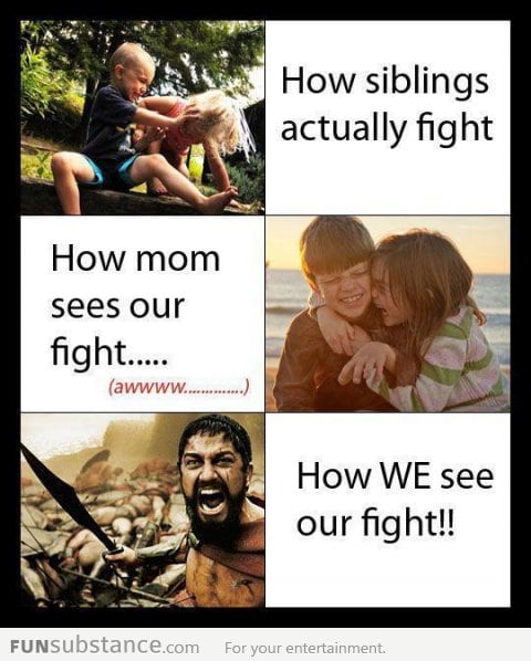 How Siblings Actually Fight