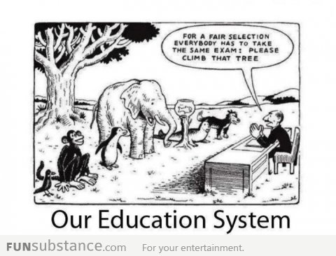 This is our education system