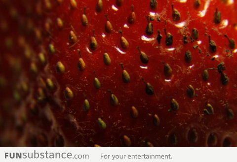 Strawberries are made up of many pears