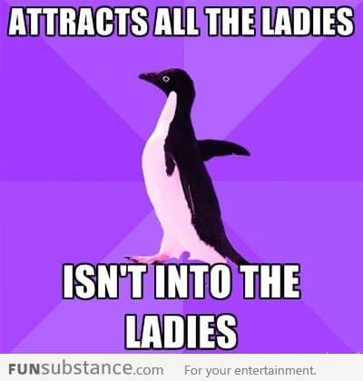 Socially Fabulous Penguin