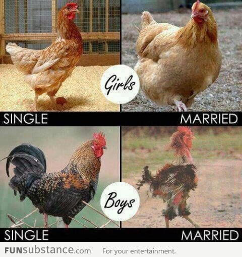 The Effects Of Marriage