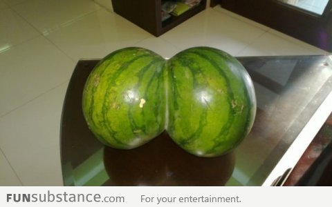 Mother of Watermelons!