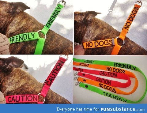 A good idea for dog owners