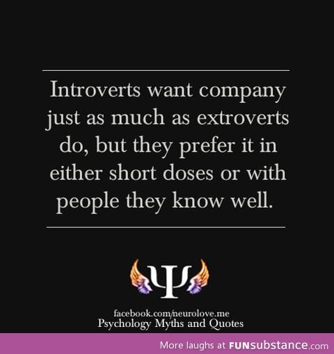 Introversion