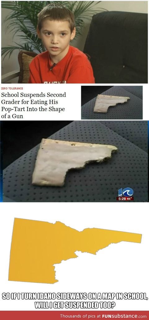 Pop-tart, gun, and idaho all in one