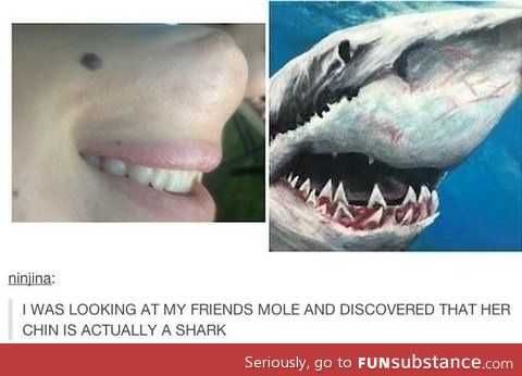 Sharky chin