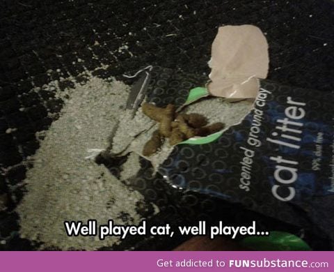 Well played cat
