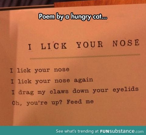 Hungry cat poem