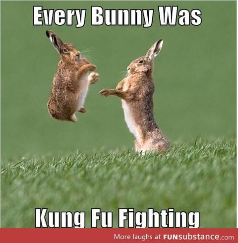 I love bunny-related humor