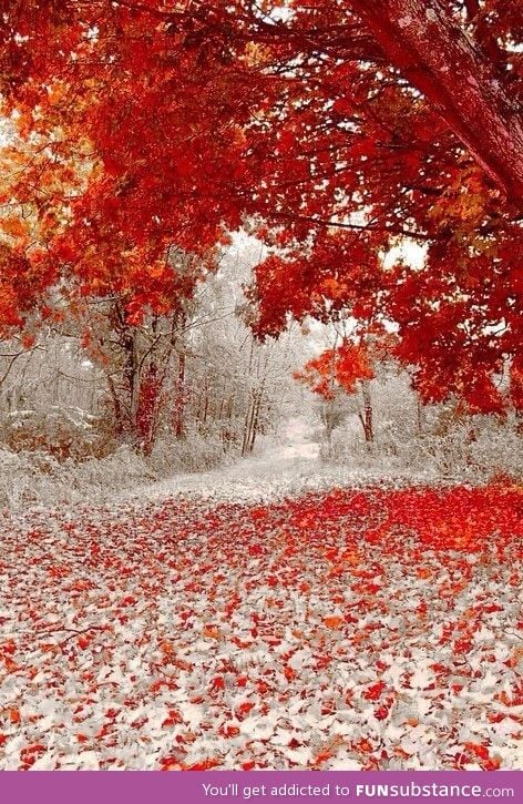 Winter and fall meet each other