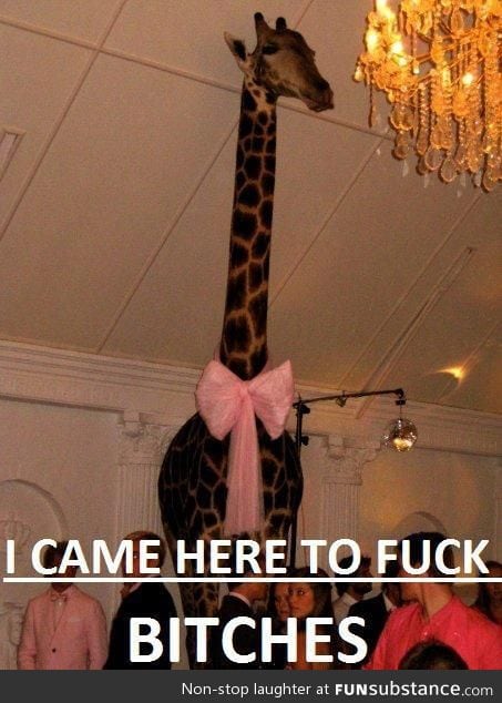 Sir Giraffe in a Party