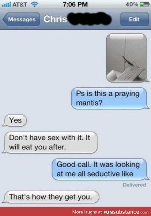Mantis will eat you after s*x